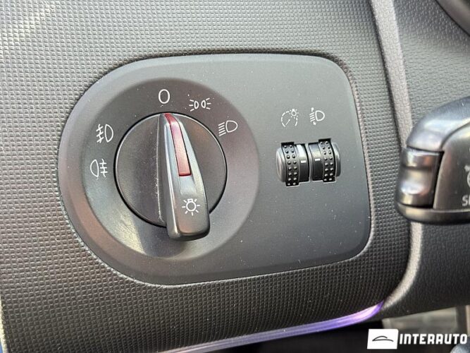 seat Ibiza Cupra 2010