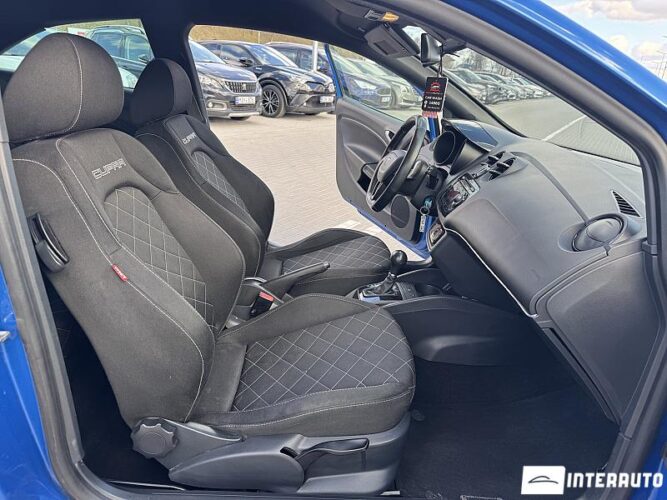 seat Ibiza Cupra 2010