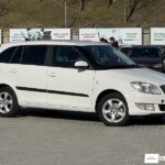 Skoda Fabia 2012