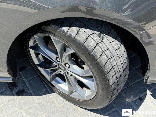 Ford Focus 49 ford Focus 2019