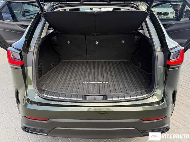 Lexus NX 350H 56 lexus NX 350H 2022