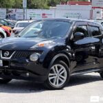Nissan Juke 2011