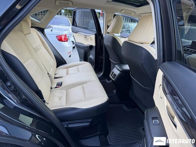 Lexus NX 300 46 lexus NX 300 2018