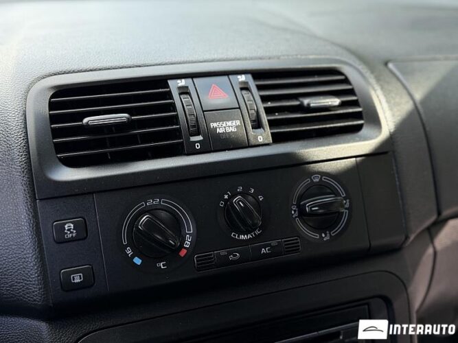 Skoda Fabia 40 skoda Fabia 2010