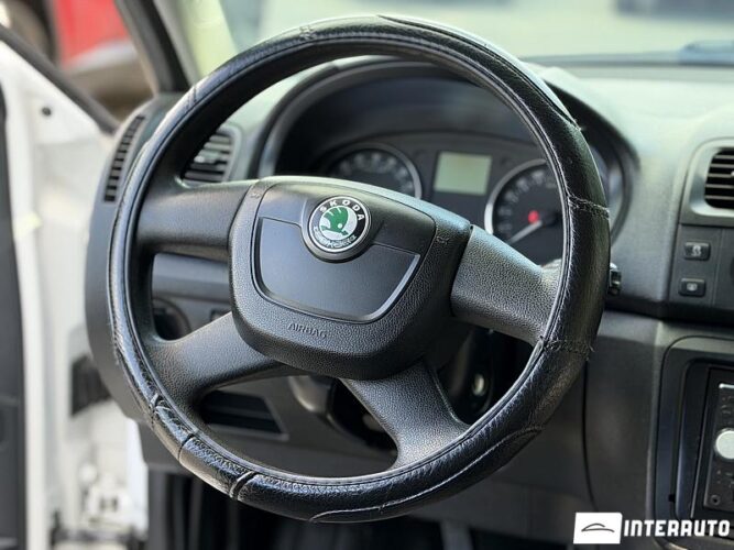 Skoda Fabia 38 skoda Fabia 2010