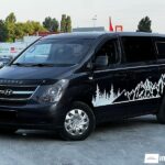 Hyundai H300 2008