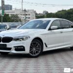 BMW 520 2018