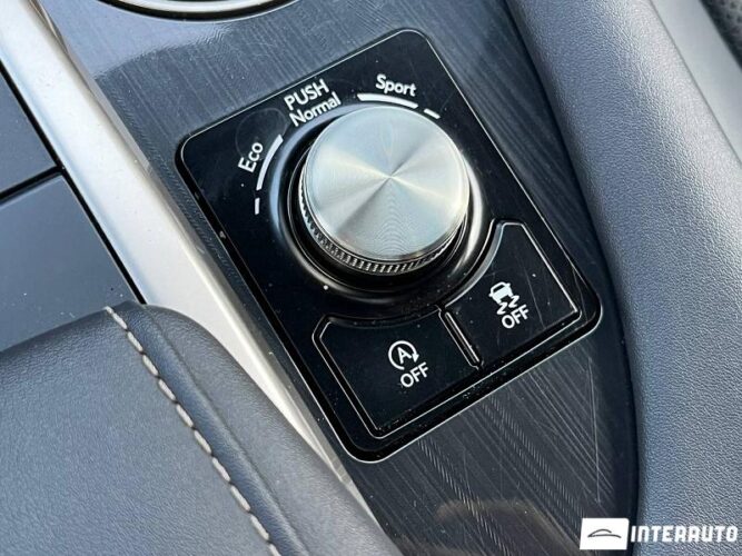 Lexus RX 300 42 lexus RX 300 2021