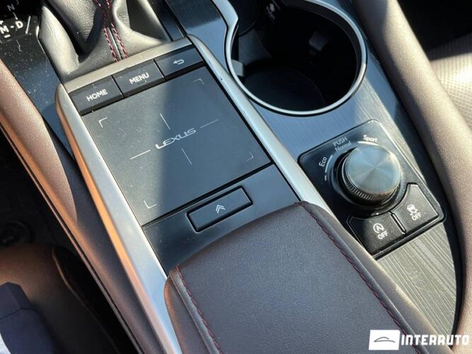 Lexus RX 300 52 lexus RX 300 2022
