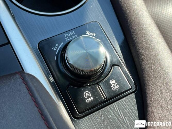 Lexus RX 300 53 lexus RX 300 2022